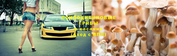 бошки Беломорск