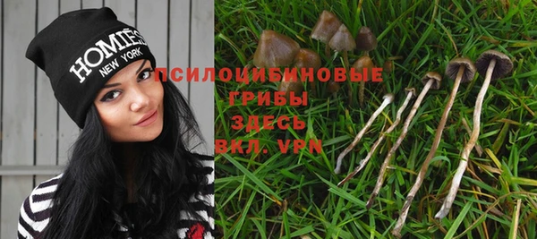 марки lsd Белокуриха