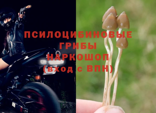 марки lsd Белокуриха