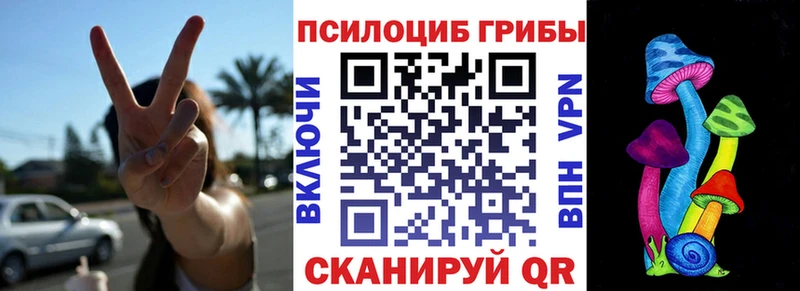 Галлюциногенные грибы Psilocybine cubensis  как найти   hydra как войти  Дагестанские Огни 
